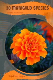 30 Marigold species: Make the right choice