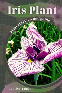 Iris Plant: Plant overview and guide