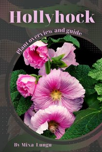Hollyhock: Plant overview and guide