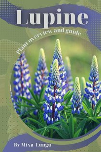 Lupine: Plant overview and guide