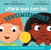 Para que son los sentimientos?