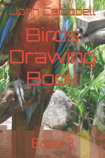 Birds Drawing Book