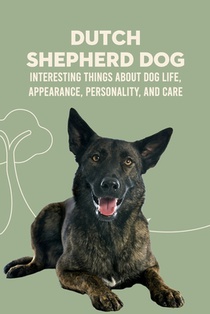 Dutch Shepherd Dog