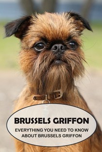Brussels Griffon