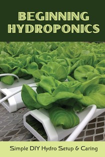 Beginning Hydroponics: Simple DIY Hydro Setup & Caring: Hydroponics For Beginners Diy