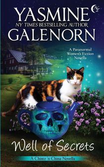 Galenorn, Y: Well of Secrets