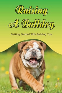 Raising A Bulldog: Getting Started With Bulldog Tips: The Bulldog'S The Maintenance