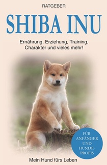 Shiba Inu: Erziehung, Training und Charakter von Shiba Inu
