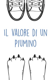Il valore di un Piumino