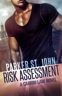 Risk Assessment: A Cabrini Law Novel