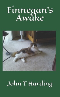 Finnegan's Awake