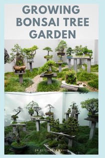 Growing Bonsai Tree Garden: Step-by-Step Guide to Creating, Selecting - Care - Cultivation
