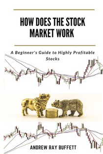 How Does the Stock Market Work: A Beginner's Guide to Highly Profitable Stocks