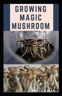 Growing Magic Mushroom: Step by steps guide on how to decides, select and grow mushroom on your own