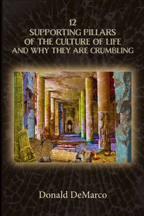 12 Supporting Pillars of the Culture of Life and Why They are Crumbling