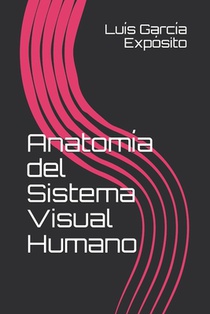 Anatomia del Sistema Visual Humano
