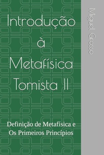 Introdução à Metafísica Tomista 2: Definição de Metafísica e Os Primeiros Princípios