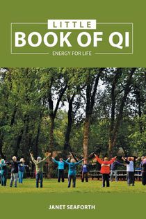 Little Book of Qi