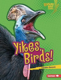 Yikes, Birds!