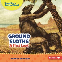 Ground Sloths: A First Look