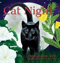 Cat Night