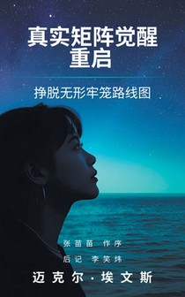 真实矩阵觉醒 重启