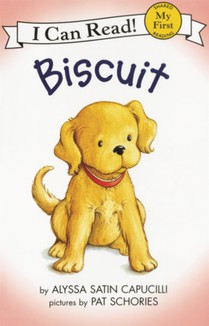 Biscuit