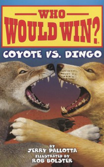 Coyote vs. Dingo