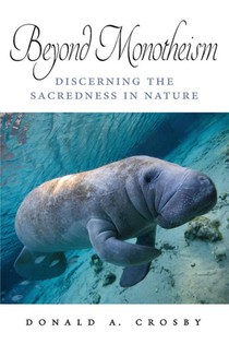 Beyond Monotheism