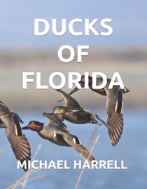 Ducks of Florida