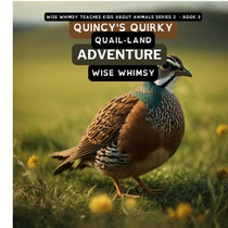 Quincy's Quirky Quail-land Adventure