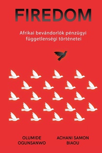 Afrikai bevándorlók pénzügyi függetlenségi történetei