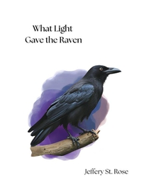 What Light Gave the Raven