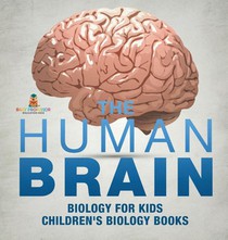 The Human Brain - Biology for Kids | Children's Biology Books