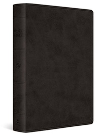 ESV Giant Print Value Personal Size Bible (Trutone, Black)
