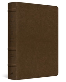 ESV Applying the Gospel Study Bible for Men (Trutone, Brown)