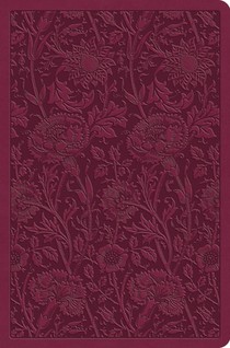 ESV Value Compact Bible (Trutone, Raspberry, Floral Design)