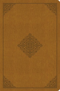 ESV Value Compact Bible (Trutone, Goldenrod, Ornament Design)