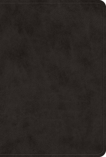 ESV Value Large Print Compact Bible (Trutone, Black)