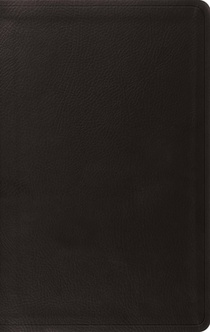 ESV Value Thinline Bible (Trutone, Black)