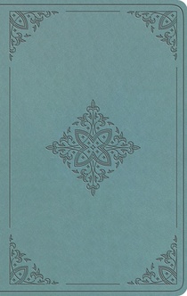 ESV Value Thinline Bible (Trutone, Paris Sky, Fleur-De-Lis Design)