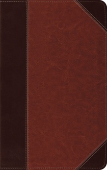 ESV Thinline Bible, Red Letter (Trutone, Brown/Cordovan, Portfolio Design)