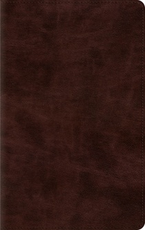 ESV Thinline Bible, Red Letter (Trutone, Espresso)