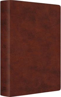 ESV Giant Print Personal Size Bible (Trutone, Chestnut)