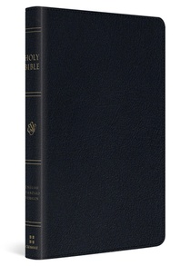 ESV Large Print Thinline Bible