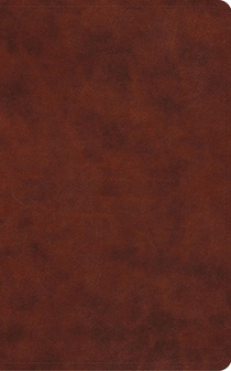 ESV Vest Pocket New Testament with Psalms and Proverbs, Red Letter