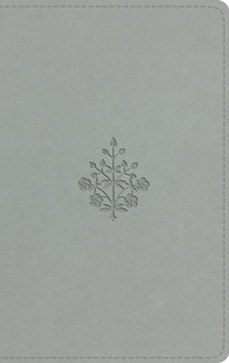ESV Large Print Value Thinline Bible