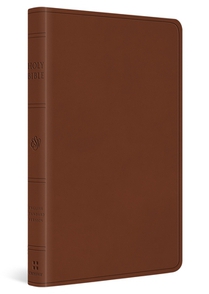 ESV Large Print Value Thinline Bible