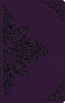 ESV Large Print Value Thinline Bible
