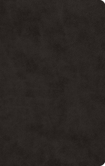 ESV Large Print Value Thinline Bible